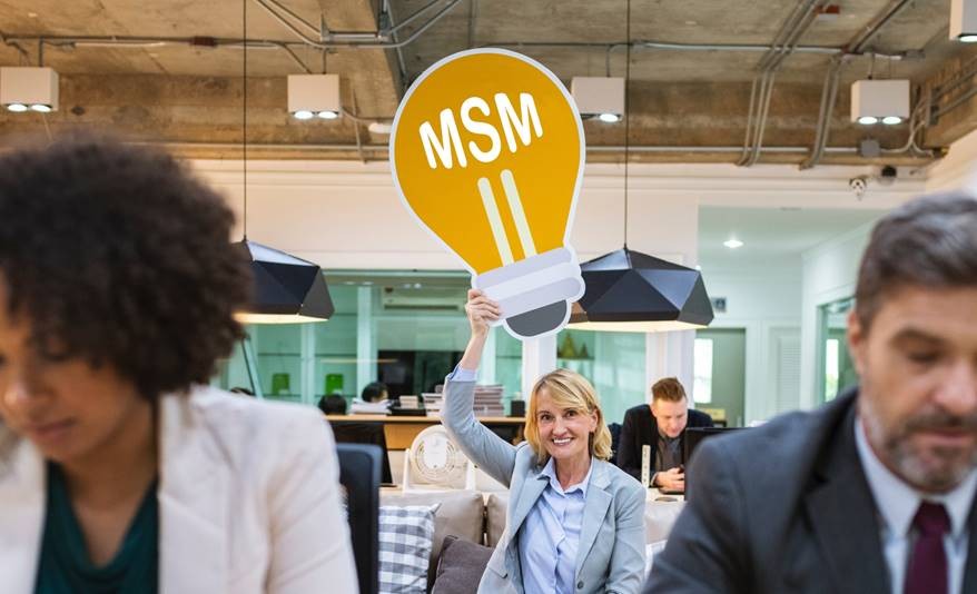 MSM — logiciels conçus pour le terrain québécois